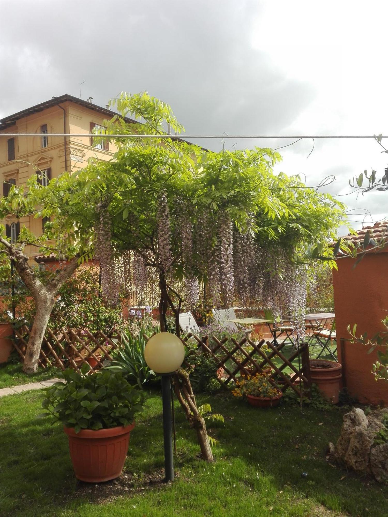 Al Giardino Di Alice Bed & Breakfast Перуджа Екстериор снимка