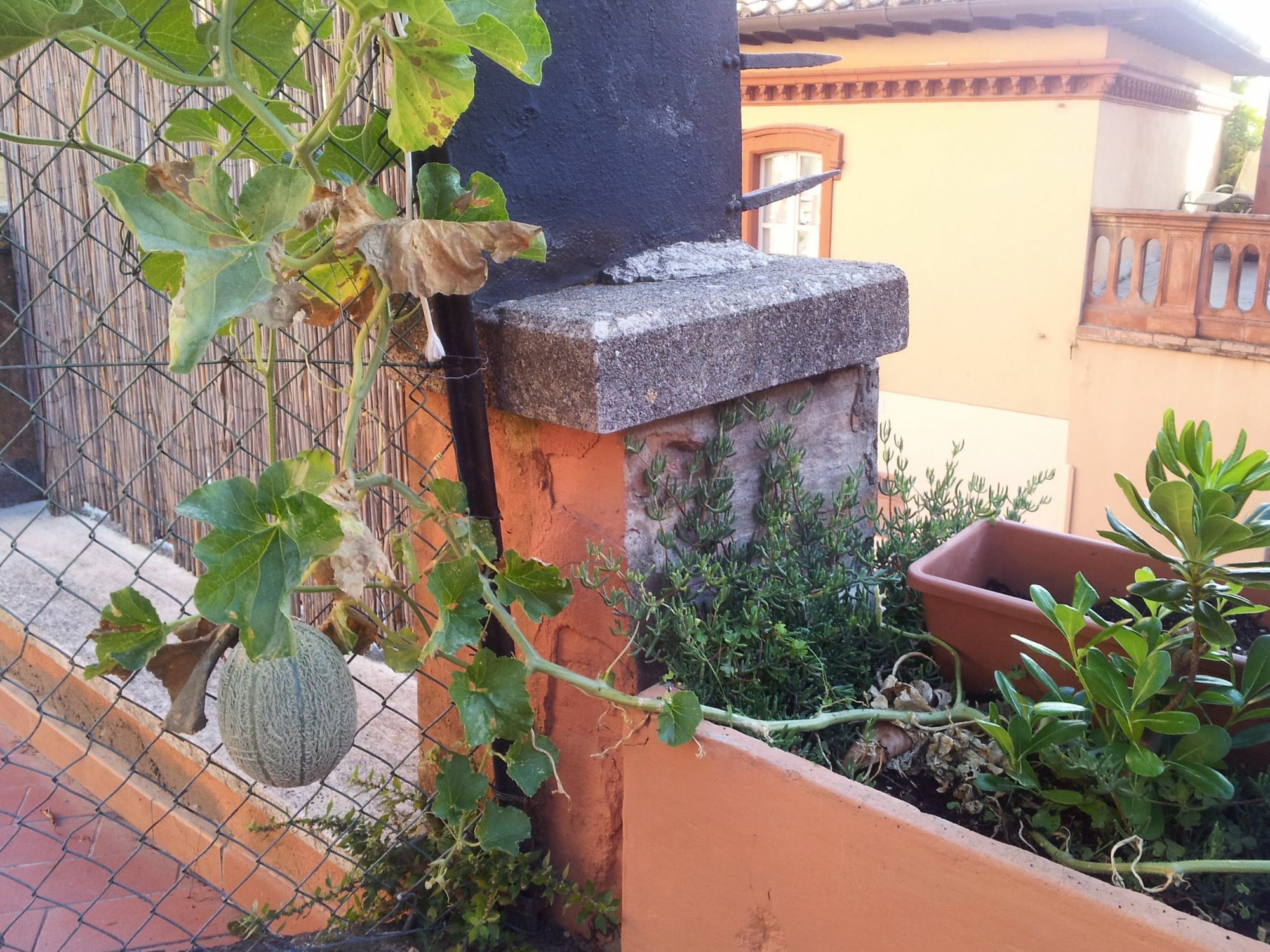 Al Giardino Di Alice Bed & Breakfast Перуджа Екстериор снимка
